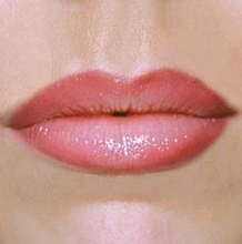 Lip Contour and Blush Blend